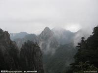 �׹�͸���˿��ļҺ���Ƶ���߿����ߵ�����ȫ���������ʸ��������96%...